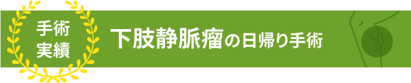 下肢静脈瘤の手術実績