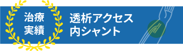 透析アクセス、内シャントの治療実績