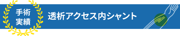 透析アクセス、内シャントの治療実績