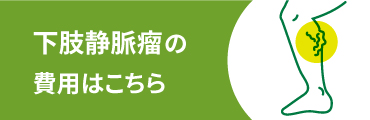 下肢静脈瘤の費用はこちら