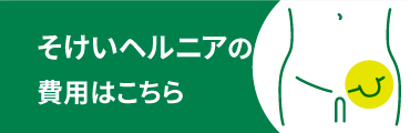 そけいヘルニアの費用はこちら