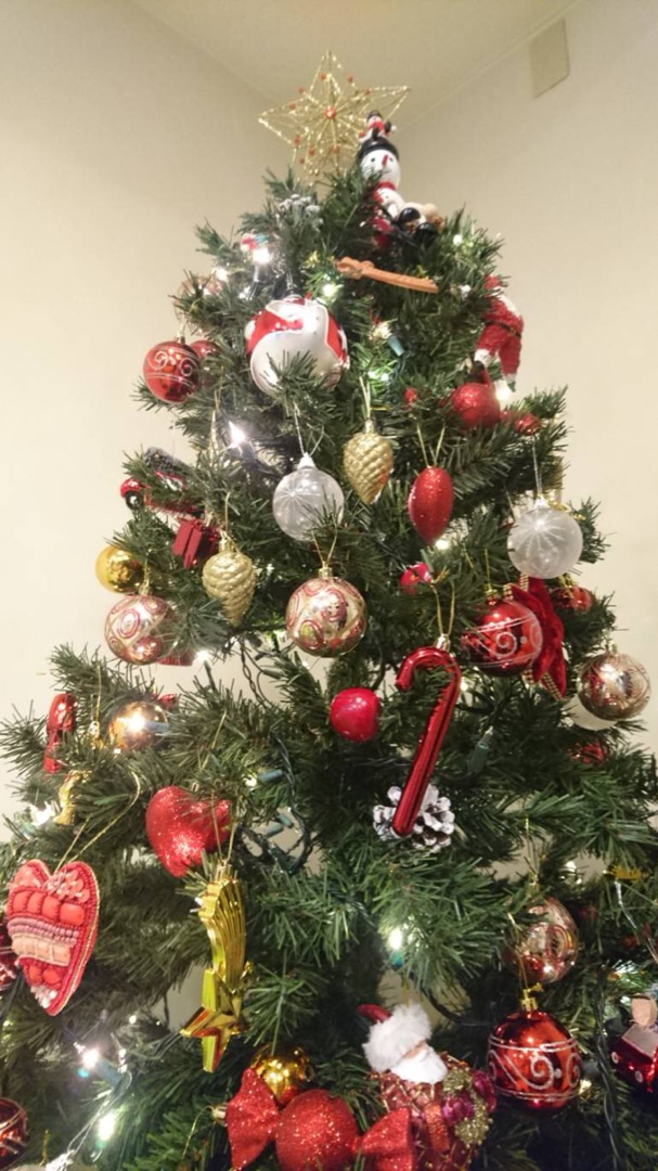 クリスマスツリーを飾りました